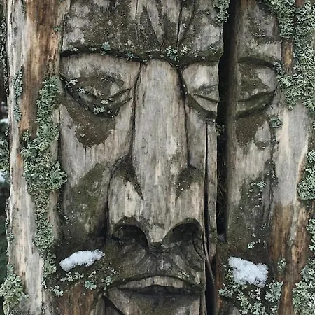 U Zuzanny - Dom Z Prywatnym Jeziorem Stara Kiszewa