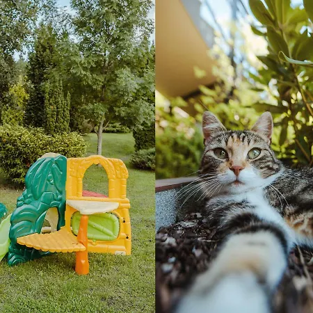 Holiday home U Zuzanny - Dom Z Prywatnym Jeziorem Stara Kiszewa