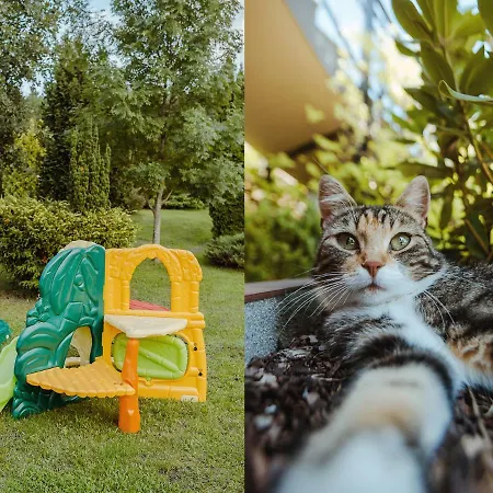 Hébergement de vacances U Zuzanny - Dom Z Prywatnym Jeziorem Stara Kiszewa