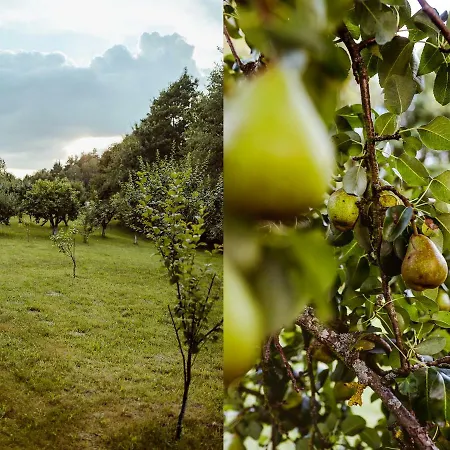 U Zuzanny - Dom Z Prywatnym Jeziorem بيت للعطل *