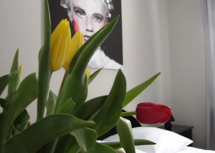 U Zuzanny - Dom Z Prywatnym Jeziorem * Stara Kiszewa