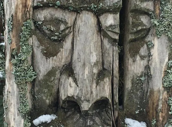 U Zuzanny - Dom Z Prywatnym Jeziorem Stara Kiszewa