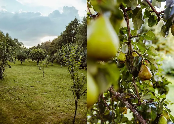 U Zuzanny - Dom Z Prywatnym Jeziorem Semesterbostad *